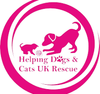 Helping Dogs & Cats Rescue